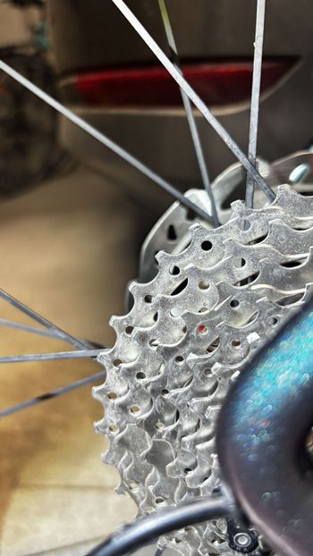 Used Rondo Ruut X 2023 2023 Road & Gravel, Blue — image 16 of 32