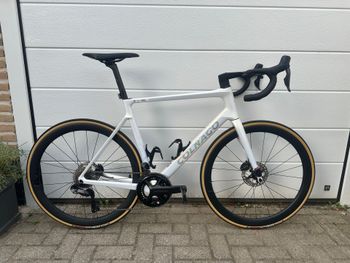 Used Colnago V4Rs Disc Ultegra Di2 8100 w/Fulcrum Racing Wind 400 Wheels 2024 2024 Road & Gravel
