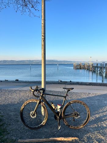 Gebrauchtes Canyon Ultimate CF SL Disc 8.0 Aero 2019 2019 Road & Gravel