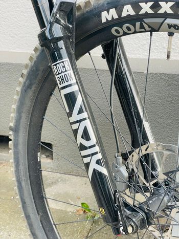 Gebrauchtes Canyon Spectral CF 9 2024 2024 Mountainbike, Weiß, 29, 27.5 — Bild 4 von 6