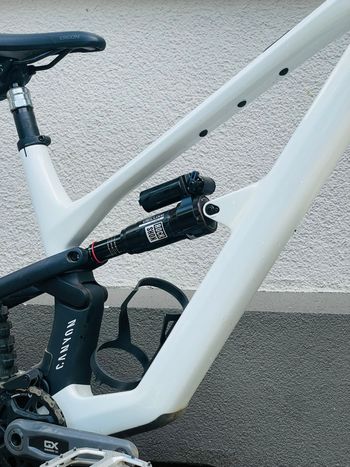 Gebrauchtes Canyon Spectral CF 9 2024 2024 Mountainbike, Weiß, 29, 27.5 — Bild 3 von 6