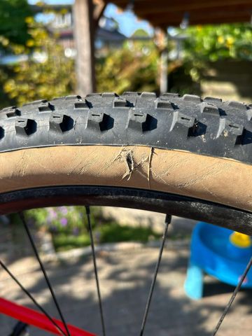 Brugt BMC Twostroke AL ONE 2021 2021 Mountainbike — billede 7 af 8