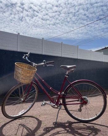 Tweedehands Electra 2024 Urban & Touring