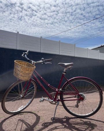 Brugt Electra 2024 Urban & Touring