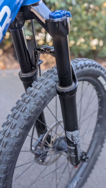 Brugt Mondraker F-PLAY 24 2024 2024 Youth — billede 8 af 15