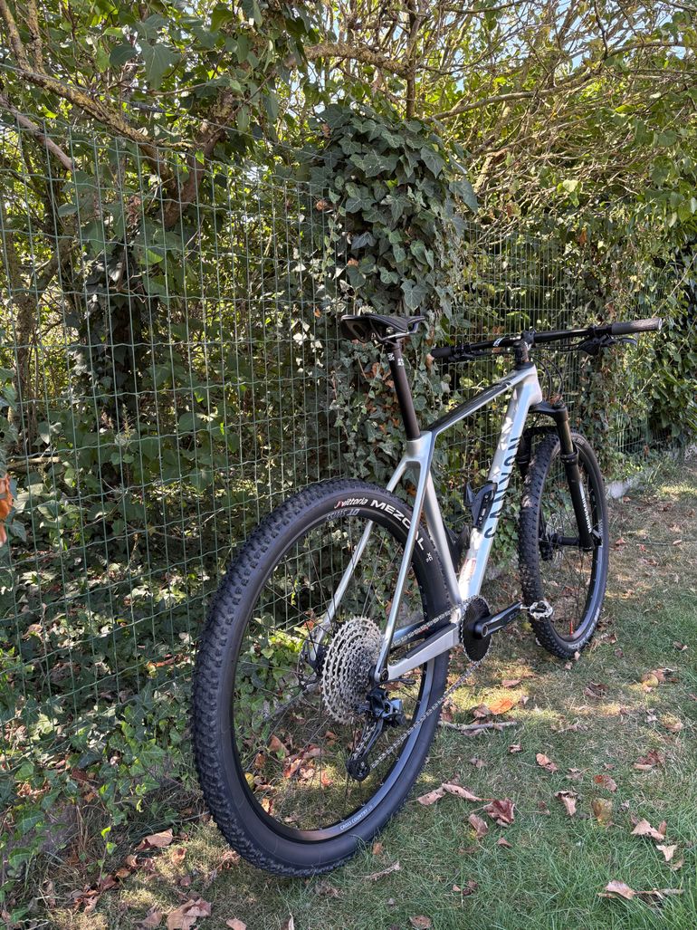 Gebrauchtes Canyon Exceed CF 5 2024 2024 Mountainbike, Hellgrau — Bild 3 von 6