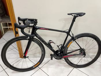 Used Giant TCR Advanced SL 0 RED 2019 2019 Road & Gravel