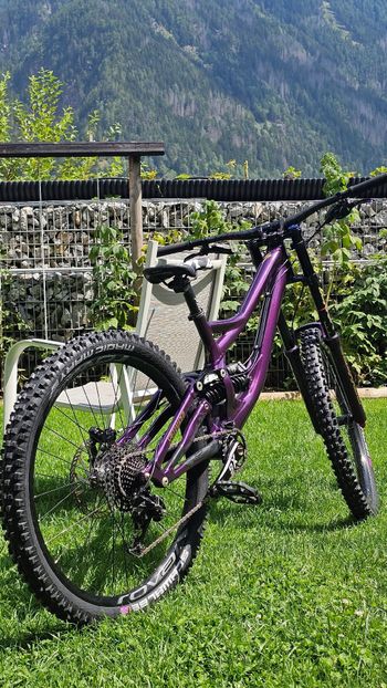 Gebrauchtes Specialized Demo SRAM GX 2015 MTB