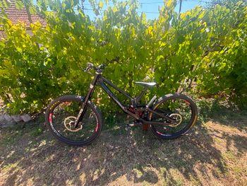 Used Canyon Sender CFR 2021 2021 MTB