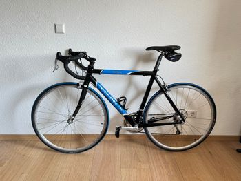 Used Storck Custom Campagnolo Centaur 2009 Road & Gravel, Blue — image 7 of 8