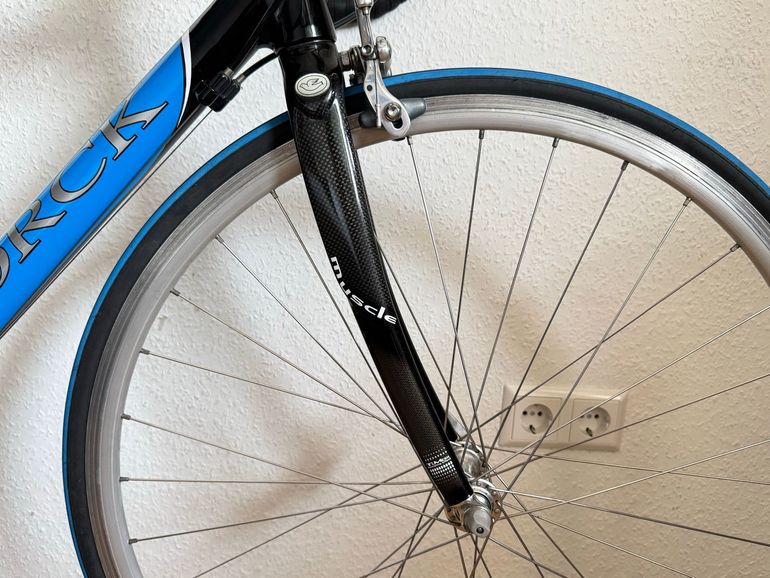 Used Storck Custom Campagnolo Centaur 2009 Road & Gravel, Blue — image 5 of 8
