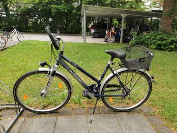 Gebrauchtes Pegasus Avanti Alu 2007 Urban & Touring