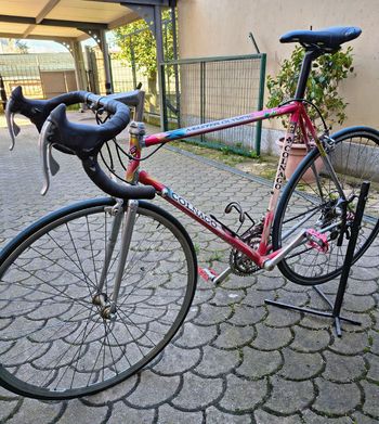 Used Colnago Master Other Campagnolo 1996 Road & Gravel, Red — image 2 of 4