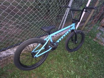 Käytetty Cult Custom 2023 Urban — kuva 3 / 8