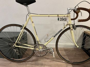 Tweedehands Colnago Saronni Campagnolo Super Record 1982 Road & Gravel