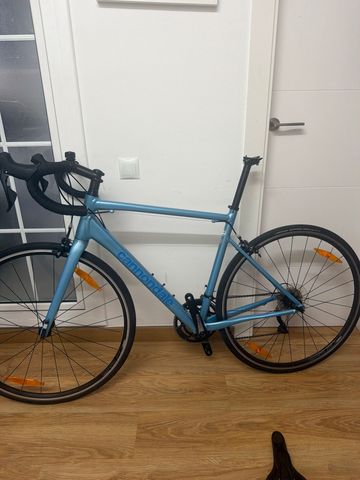 Used Cannondale CAAD Optimo 1 2025 2025 Road & Gravel, Blue — image 2 of 6