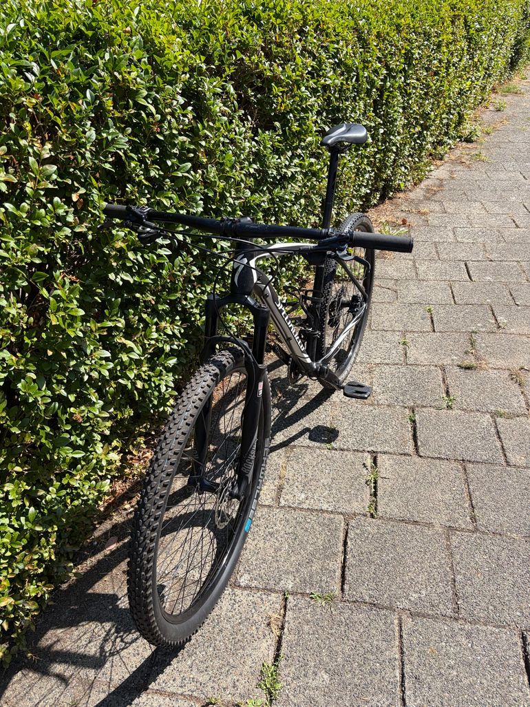 Używany Specialized Stumpjumper Comp 29 2015 2015 Mountainbike — zdjęcie 3 z 9