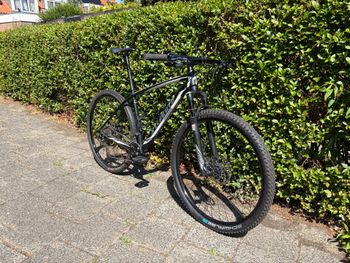 Tweedehands Specialized Stumpjumper Comp 29 2015 2015 MTB