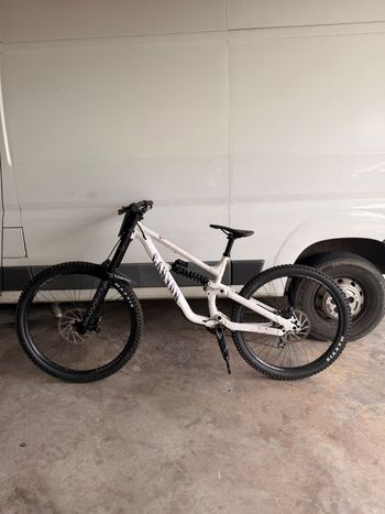 Brugt Canyon Torque DH CLLCTV 2025 2025 MTB
