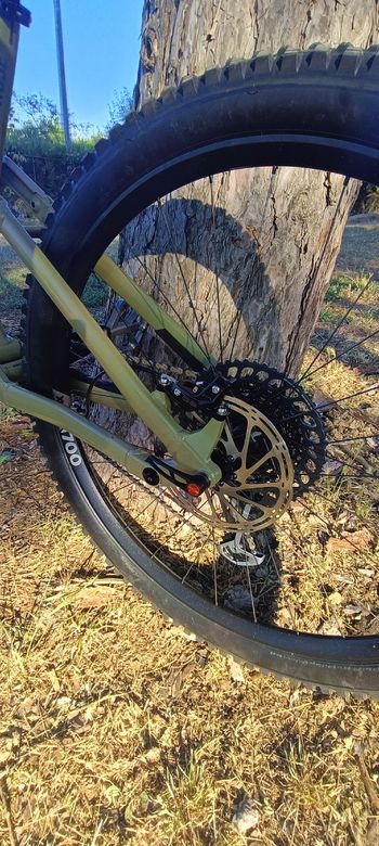Used Rose ROOT MILLER 3 2022 2022 Mountainbike, Green, 29 — image 17 of 17