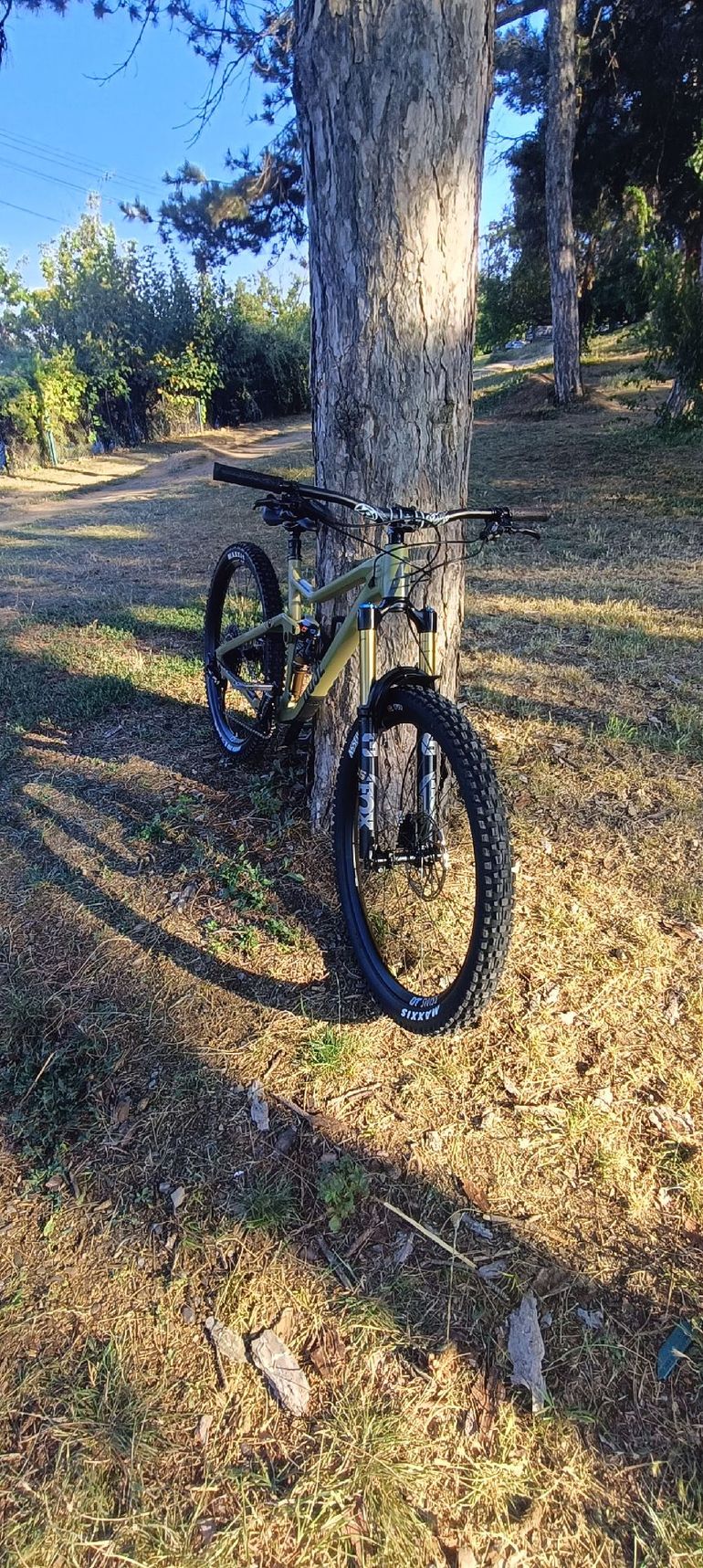 Used Rose ROOT MILLER 3 2022 2022 Mountainbike, Green, 29 — image 1 of 17