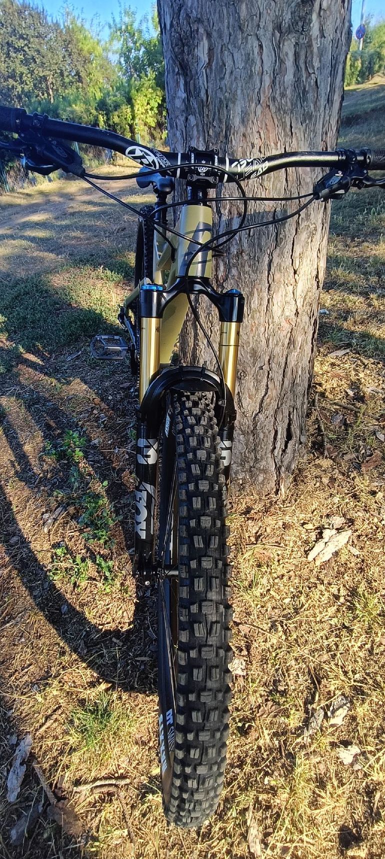 Used Rose ROOT MILLER 3 2022 2022 Mountainbike, Green, 29 — image 7 of 17
