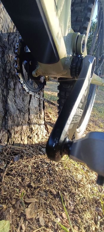 Used Rose ROOT MILLER 3 2022 2022 Mountainbike, Green, 29 — image 16 of 17