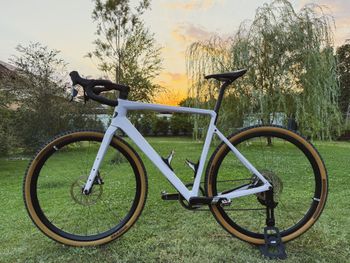 Used Rose Backroad APEX AXS XPLR 1x12 2025 2025 Road & Gravel