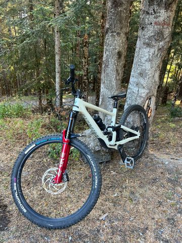 Gebrauchtes Specialized Enduro Elite 2020 2020 Mountainbike, Weiß, 29 — Bild 20 von 20