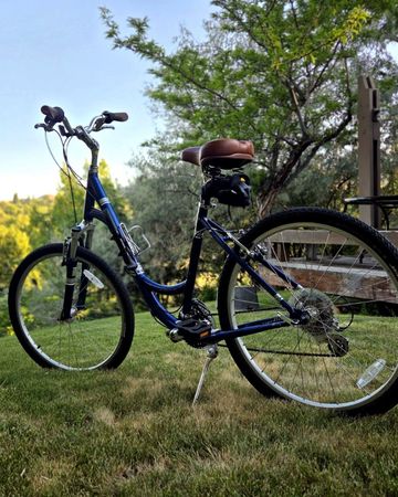 Used Specialized Expedition Low Entry 2016 2016 Urban, Blue — image 2 of 5