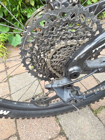Brugt Propain Tyee SRAM GX Eagle 2024 2024 Mountainbike — billede 8 af 10