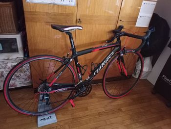 Wilier Custom Shimano Sora 2013 Road & Gravel de segunda mano