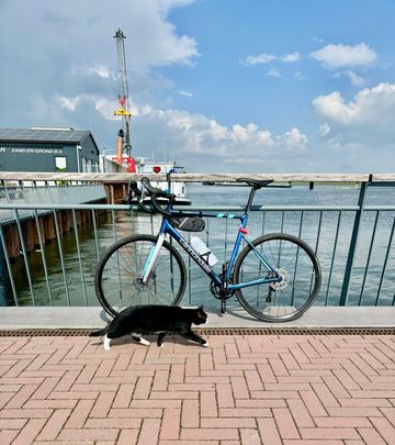 Brugt Cannondale CAAD13 Disc Tiagra 2025 2025 Road & Gravel — billede 5 af 5