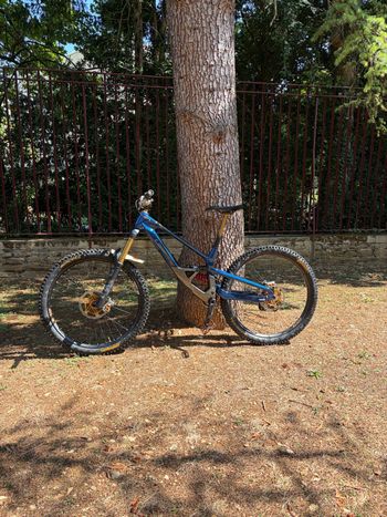 Used Lapierre Spicy CF Team 2025 2025 MTB