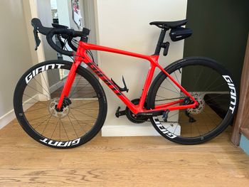 Gebrauchtes Giant Tcr advanced Shimano 105 2023 Road & Gravel