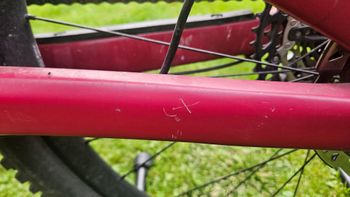 Gebrauchtes Canyon Neuron CF 8 WMN 2022 2022 Mountainbike, Rot, 27.5, 29 — Bild 18 von 19