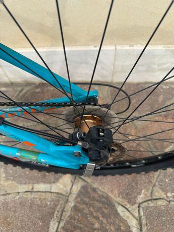 Gebrauchtes Carraro Custom Other Shimano 2010 Mountainbike, Blau — Bild 6 von 7