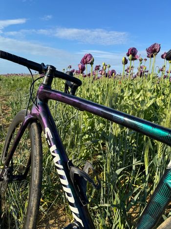 Specialized Tarmac SL6 2021 Frameset 2021 Road & Gravel usato, Verde — immagine 10 di 11