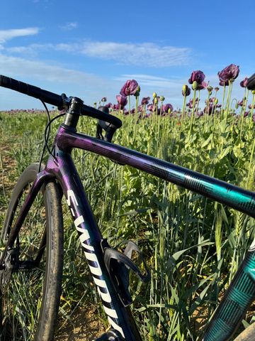 Specialized Tarmac SL6 2021 Frameset 2021 Road & Gravel d'occasion — image 10 sur 11