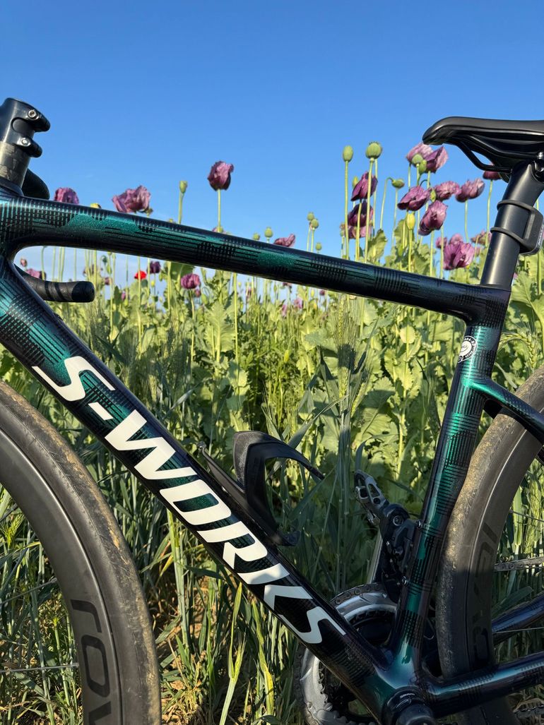 Specialized Tarmac SL6 2021 Frameset 2021 Road & Gravel usato, Verde — immagine 8 di 11