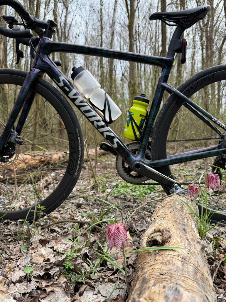 Specialized Tarmac SL6 2021 Frameset 2021 Road & Gravel usato, Verde — immagine 6 di 11