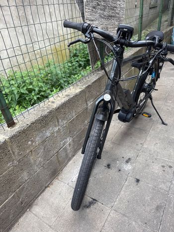 Použité Koga Pace Other 2019 Mountainbike — obrázek 10 z 10