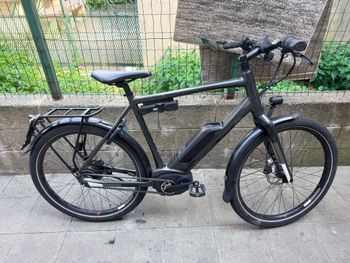 Used Koga Pace Other 2019 MTB