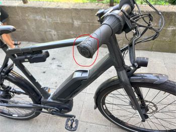 Použité Koga Pace Other 2019 Mountainbike — obrázek 4 z 10