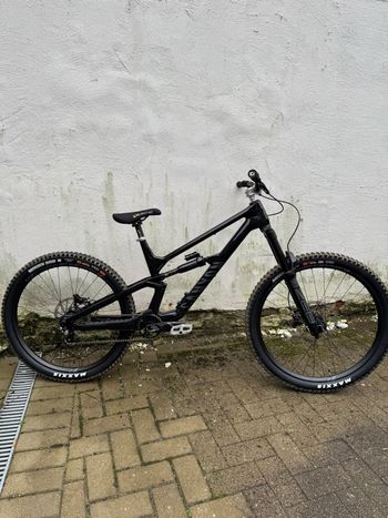 Used Canyon Torque Mullet CF 7 2023 2023 MTB