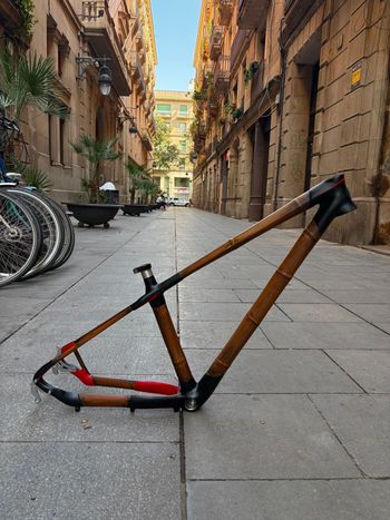 etika bikes Bamboo Carbon 29 Frameset Frameset 2020 Urban usato, Nero — immagine 5 di 8