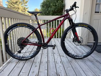 Used Specialized 2019 Epic Expert Carbon Hardtail Medium 2019 MTB