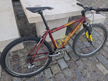 Used Rocky Mountain Oxygen Shimano Deore XT 1996 Mountainbike, Red — image 11 of 14
