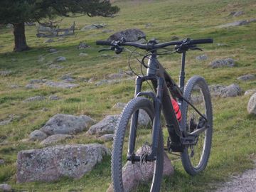 Used Trek E-Caliber 9.6 2021 2021 Mountainbike, Black, 29 — image 3 of 8