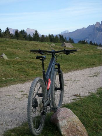 Gebrauchtes Trek E-Caliber 9.6 2021 2021 Mountainbike, Schwarz, 29 — Bild 2 von 3